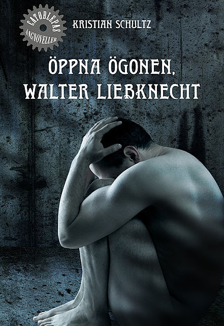 Öppna ögonen, Walter Liebknecht, Kristian Schultz
