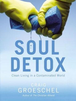Soul Detox, Craig Groeschel