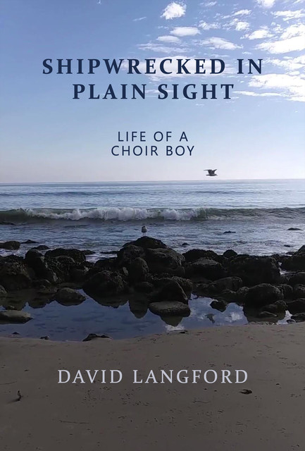 Shipwrecked in Plain Sight, David Langford