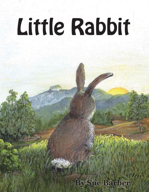 Little Rabbit, Sue Barber