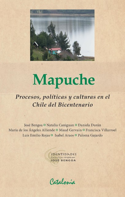 Mapuche, José Bengoa