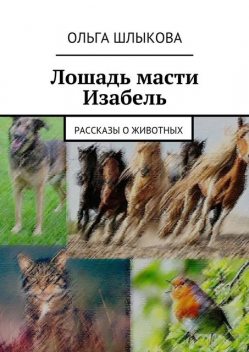 Лошадь масти Изабель, Ольга Шлыкова