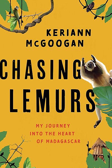 Chasing Lemurs, Keriann McGoogan