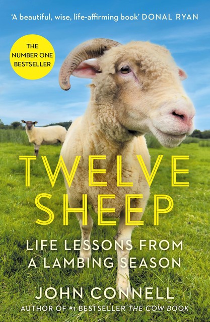 Twelve Sheep, John Connell