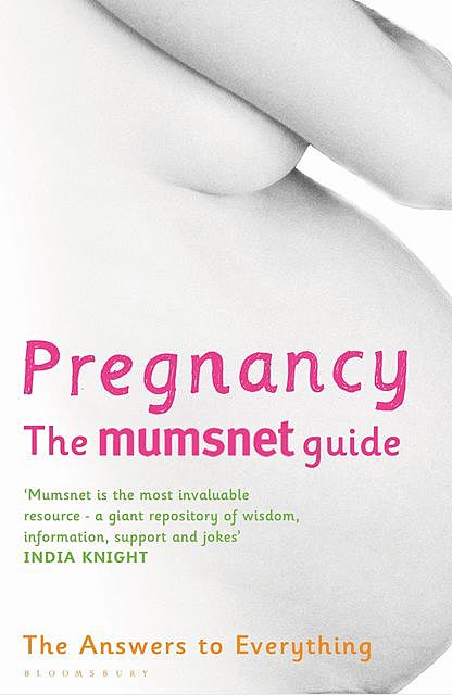Pregnancy: The Mumsnet Guide, Bloomsbury Publishing