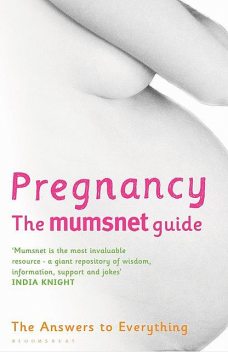 Pregnancy: The Mumsnet Guide, Bloomsbury Publishing