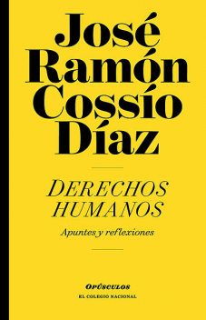 Derechos humanos, José Ramón Cossío Díaz