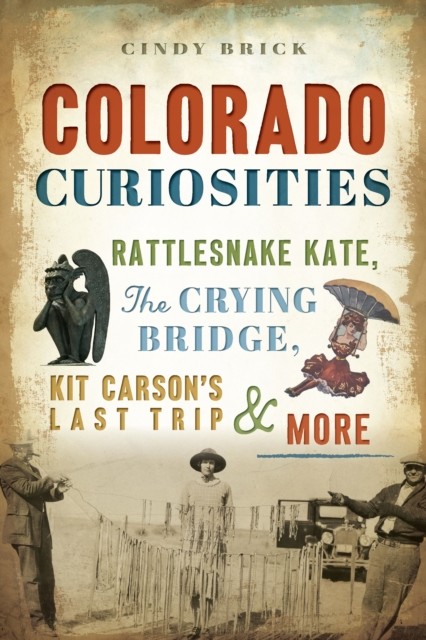 Colorado Curiosities, Cindy Brick