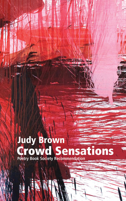 Crowd Sensations, Judy Brown