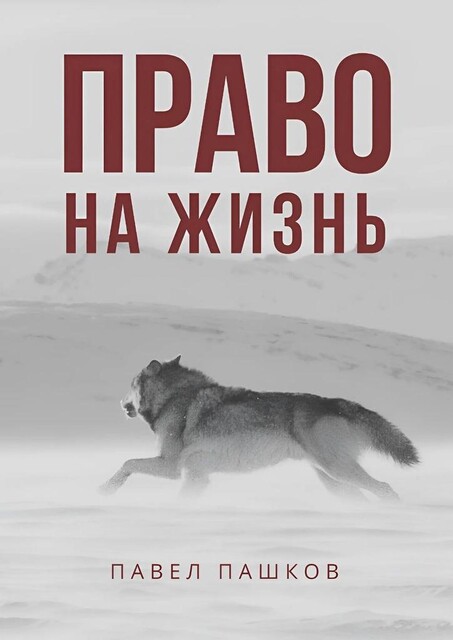 Право на жизнь, Павел Пашков