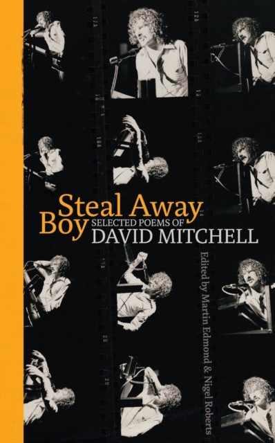 Steal Away Boy, David Mitchell