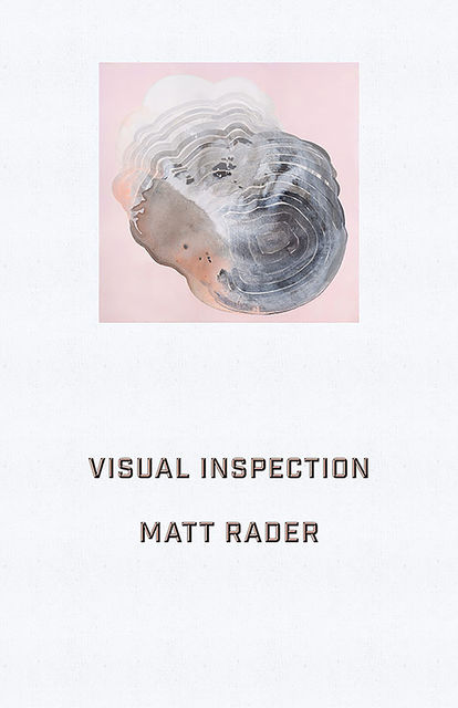 Visual Inspection, Matt Rader