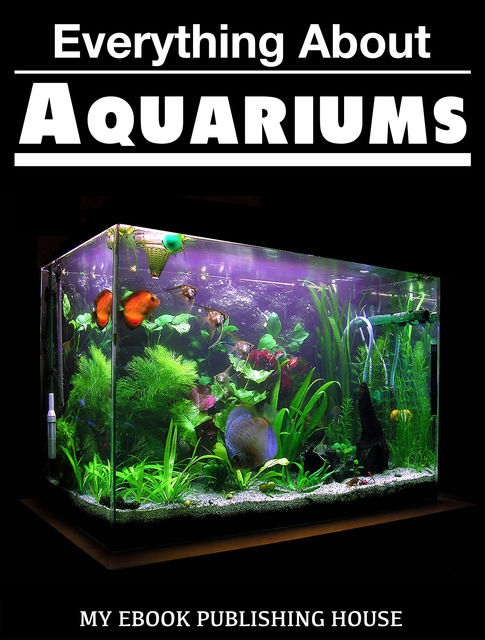 Everything About Aquariums, My Ebook Publishing House