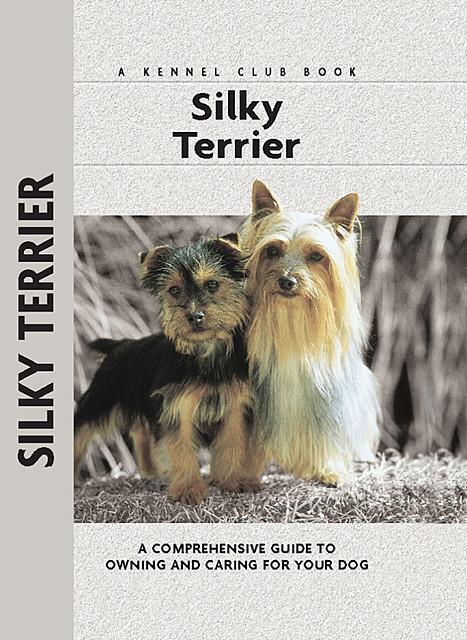Silky Terrier, Alice J. Kane