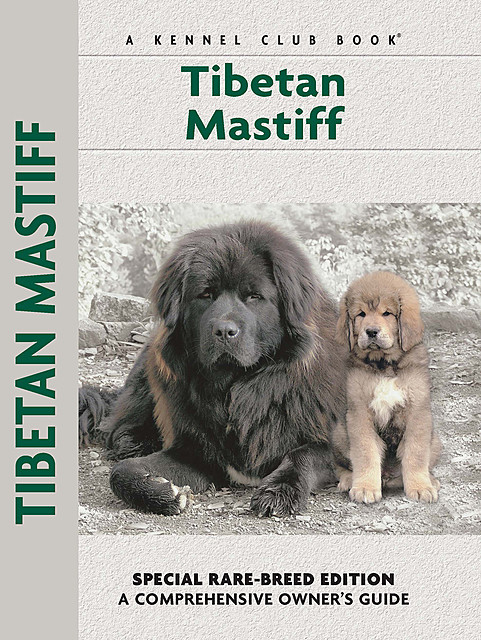 Tibetan Mastiff, Juliette Cunliffe