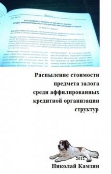 Распыление стоимости предмета залога среди аффилированных кредитной организации структур, Николай Камзин