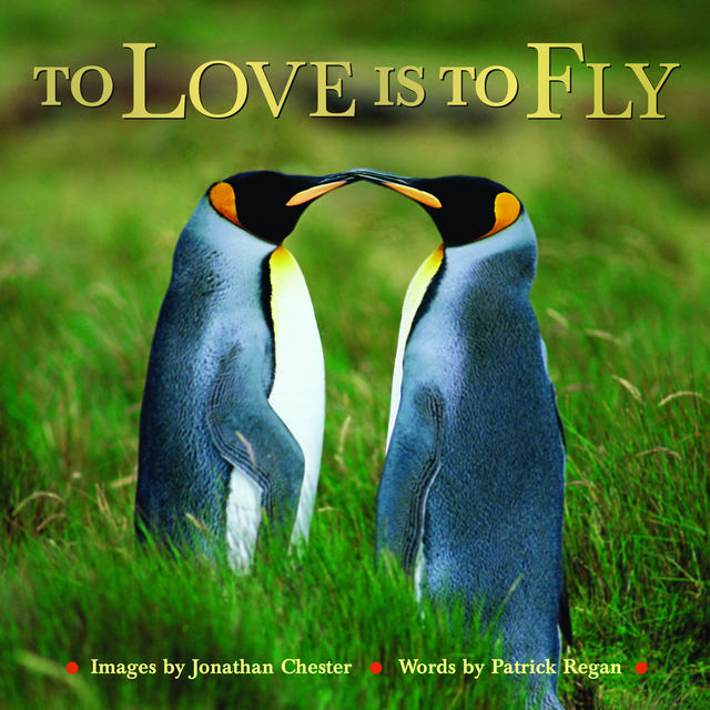 To Love Is to Fly, Patrick Regan, Jonathan Chester