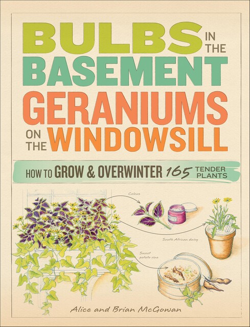 Bulbs in the Basement, Geraniums on the Windowsill, Alice McGowan, Brian McGowan