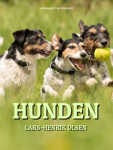 Hunden, Lars-Henrik Olsen