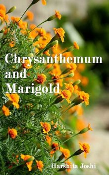 Chrysanthemum and Marigold, Harshita Joshi