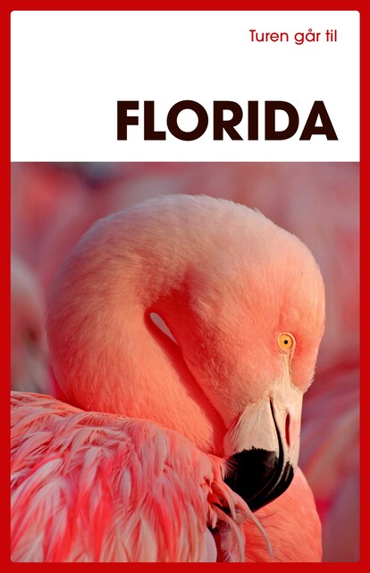 Turen går til Florida, Morten Scholz