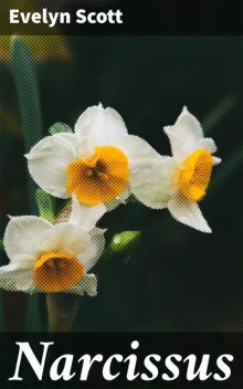 Narcissus, Evelyn Scott