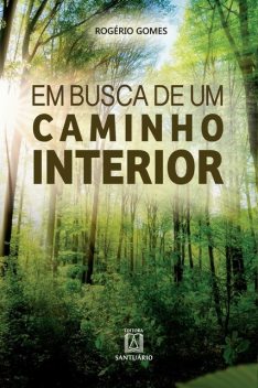 Em busca de um caminho interior, Rogério Gomes