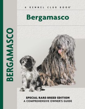 Bergamasco, Andreoli, Donn De Falcis