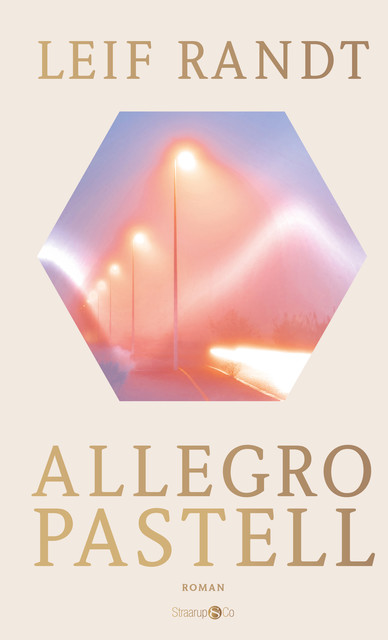 Allegro Pastell, Leif Randt