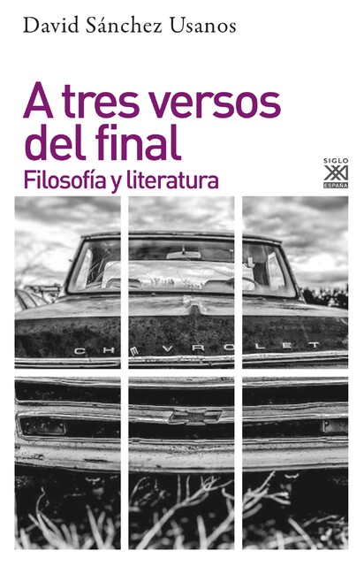 A tres versos del final, David Sánchez Usanos