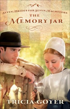 The Memory Jar, Tricia Goyer