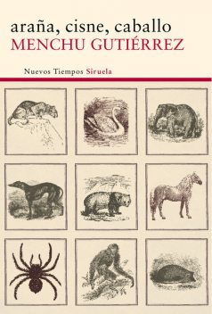 araña, cisne, caballo, Menchu Gutiérrez