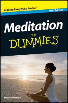 Meditation For Dummies, Mini Edition, Stephan Bodian