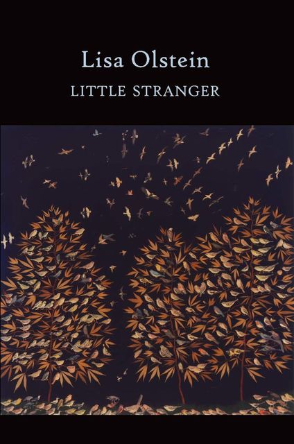 Little Stranger, Lisa Olstein