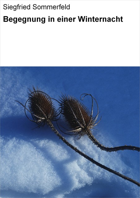 Begegnung in einer Winternacht, Siegfried Sommerfeld