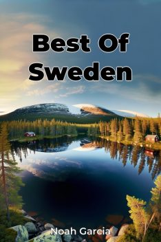 Best Of Sweden, Noah Garcia