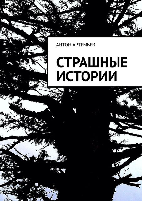 Страшные истории, Антон Артемьев