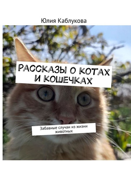 Рассказы о котах и кошечках. Забавные случаи из жизни животных, Юлия Каблукова