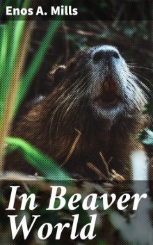 In Beaver World, Enos A. Mills