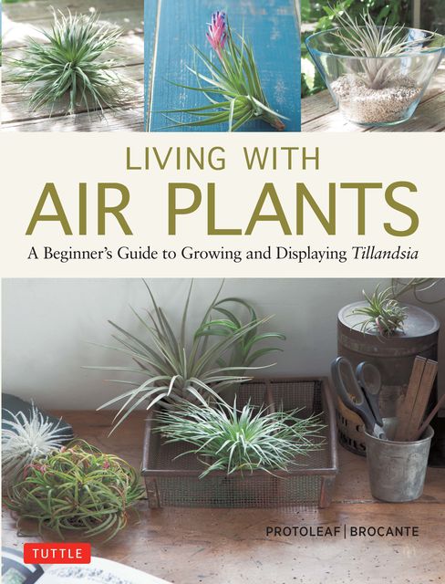 Living with Air Plants, Yoshiharu Kashima, Yukihiro Matsuda