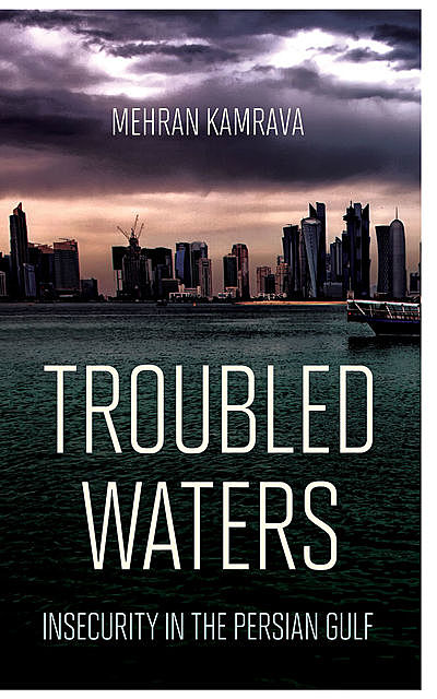 Troubled Waters, Mehran Kamrava