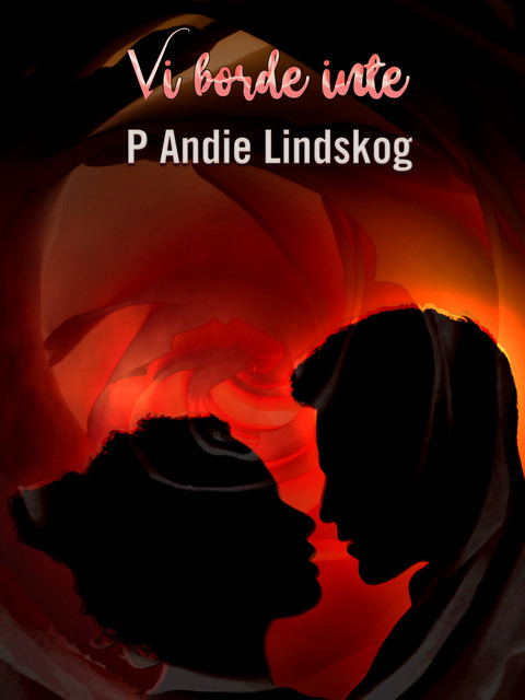 Vi borde inte – feelgood-novell, Per Andie Lindskog