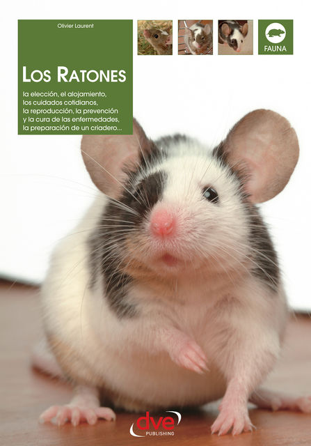 Los ratones: La elección, el alojamiento, los cuidados cotidianos, la reproducción, la prevención y la cura de las enfermedades, la preparación de un criadero, Olivier Laurent