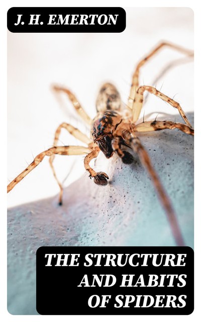 The Structure and Habits of Spiders, J.H. Emerton