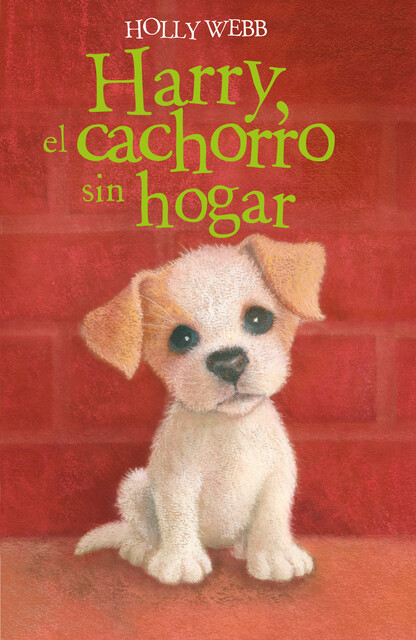 Harry, el cachorro sin hogar, Holly Webb