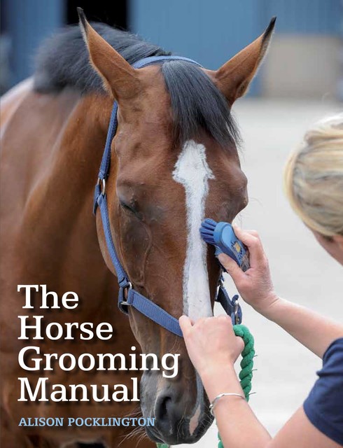 Horse Grooming Manual, Alison Pocklington