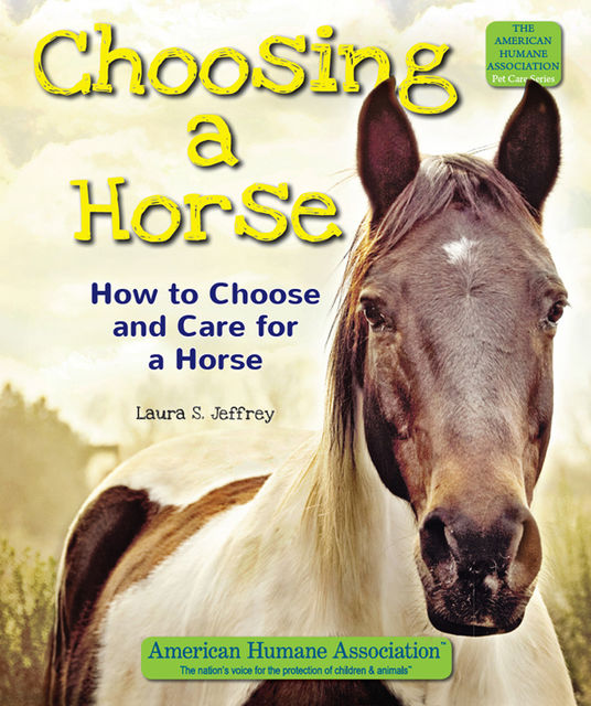 Choosing a Horse, Laura S.Jeffrey