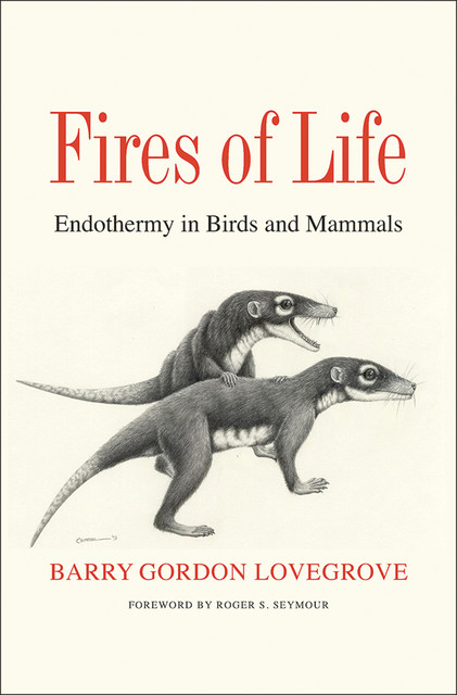 Fires of Life, Barry Gordon Lovegrove
