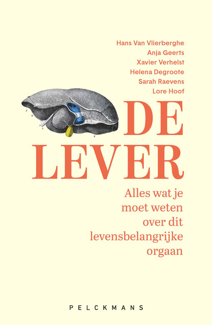 De lever, Anja Geerts, Hans Van Vlierberghe, Helena Degroote, Lore Hoof, Sarah Raevens, Xavier Verhelst