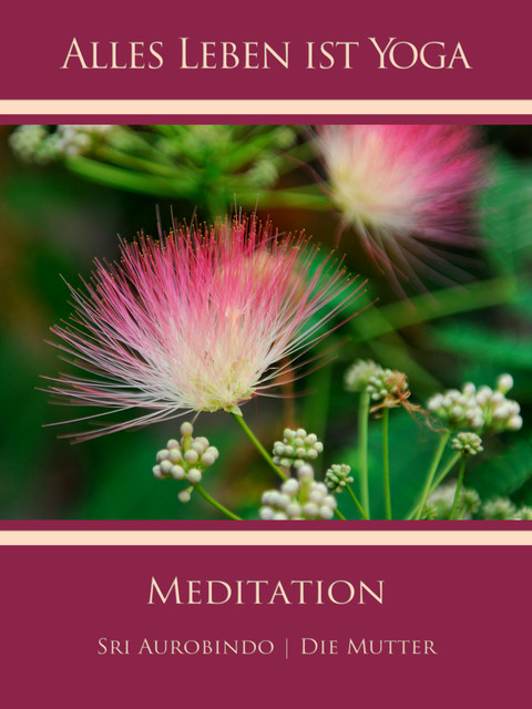 Meditation, Sri Aurobindo, Die Mutter